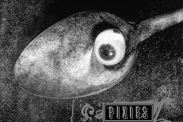 Pixies Live at the BBC